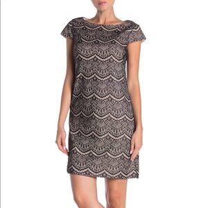 NWT Eliza J cap sleeve lace shift dress, size 6